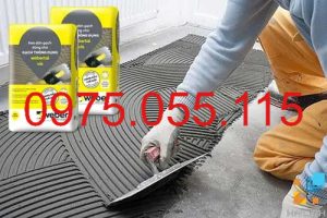 Keo Dán Gạch Weber Tai VIS Tại Thuận An