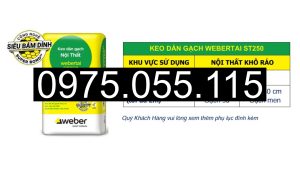 Keo Dán Gạch Webertai ST250 Tại Thuận An
